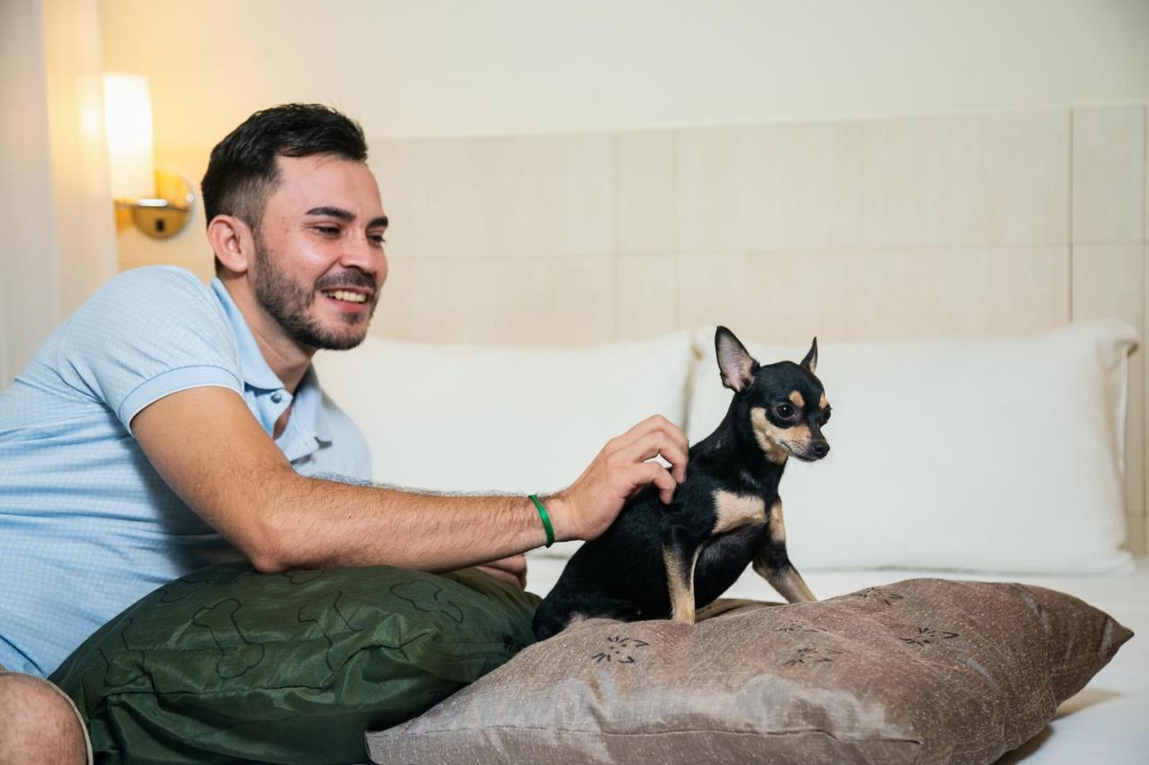 Ibis Styles Belem Batista Campos Hotel Kültér fotó